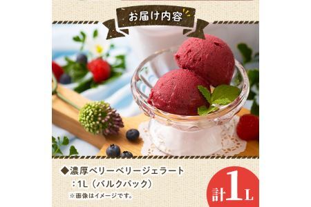 フルーツソムリエが作った濃厚ベリーベリージェラート 業務用 (1L) アイス アイスクリーム ブルーベリー レッドカラント ラズベリー カシス ブラックベリー 手作り スイーツ ＜離島配送不可＞【ksg0059】【南国フルーツ】