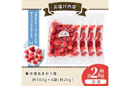 ＜先行予約受付中！2026年4月より順次発送＞苺の王様！冷凍あまおう苺(計2kg・約500g×4袋)ふるさと納税 春日市 特産品 いちご イチゴ 冷凍 シャーベット ヨーグルト ジャム＜離島配送不可＞【ksg0065】【南国フルーツ】