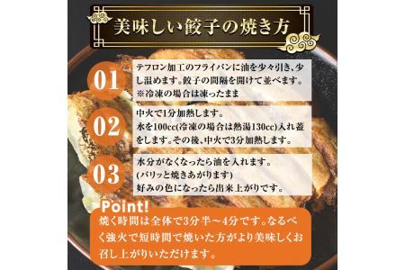 冷凍 焼餃子(計100個)ぎょうざ ギョウザ 国産 タレ付き 惣菜 おつまみ ＜離島配送不可＞【ksg0504】【餃子舗博多弦月】