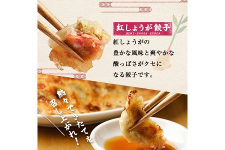 博多骨折り餃子と紅しょうが餃子(合計100個・餃子50個＋紅しょうが餃子50個)冷凍 一口 ひとくち ぎょうざ ギョウザ 手作り 国産 紅ショウガ 焼くだけ 簡単 タレ付き＜離島配送不可＞【ksg0540-B】【骨折り餃子貴月】