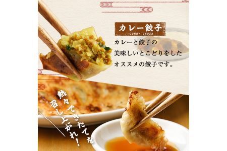 博多骨折り餃子とカレー餃子(合計100個・餃子50個＋カレー餃子50個)冷凍 一口 ひとくち ぎょうざ ギョウザ 手作り 国産 焼くだけ 簡単 タレ付き＜離島配送不可＞【ksg0540-C】【骨折り餃子貴月】