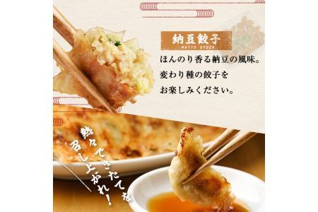博多骨折り餃子と納豆餃子(合計100個・餃子50個＋納豆餃子50個)冷凍 一口 ひとくち ぎょうざ ギョウザ 手作り 国産 焼くだけ 簡単 タレ付き＜離島配送不可＞【ksg0540-D】【骨折り餃子貴月】