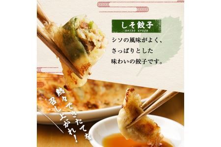 博多骨折り餃子とシソ餃子(合計100個・餃子50個＋シソ餃子50個)冷凍 一口 ひとくち ぎょうざ ギョウザ 手作り 国産 しそ 紫蘇 焼くだけ 簡単 タレ付き＜離島配送不可＞【ksg0537】【骨折り餃子貴月】