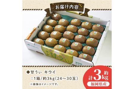 ＜先行予約受付中！2026年10月下旬～11月下旬に順次発送予定＞甘うぃ キウイ(約3kg・24-30玉)＜離島配送不可＞【ksg0125】【南国フルーツ】