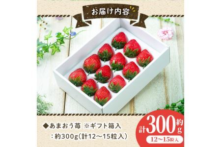 ＜先行予約受付中！2026年12月上旬～2027年3月末に順次発送予定＞あまおう 苺 ギフト箱(12-15粒)いちご 苺 フルーツ 果物 くだもの 福岡限定 贈答用 冷蔵 ＜離島配送不可＞【ksg0004】【南国フルーツ】