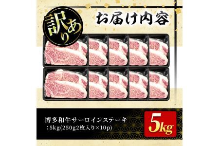 ＜訳あり・不揃い＞博多和牛サーロインステーキセット(20枚・計5kg)牛肉 黒毛和牛 国産 ステーキ＜離島配送不可＞【ksg0521】【MEATPLUS】