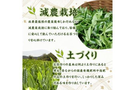＜定期便・全6回(連続)＞奥八女星野村 深蒸し高級煎茶(総量600g・100g×1袋×6回) 八女茶 緑茶 せん茶 おちゃ お茶 やめ 深蒸し茶  常温 常温保存【ksg1346】【おどろきっちん】
