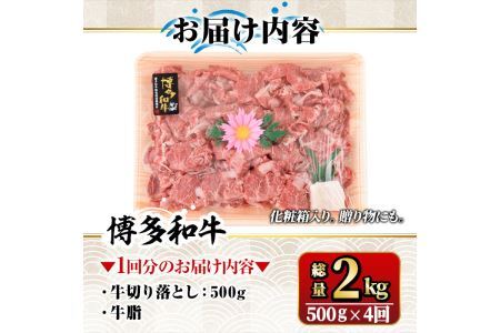 【ksg1369】＜定期便・全4回(連続)＞博多和牛A5～A4 切り落とし(総量2kg) 牛肉 黒毛和牛 国産 霜降り化粧箱 贈答 ギフト プレゼント ＜離島配送不可＞【マル五】