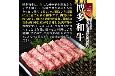 厳選部位 博多和牛サーロインしゃぶしゃぶすき焼き用(計600g・300g×2P)牛肉 黒毛和牛 国産 焼き肉 BBQ 化粧箱 贈答 ギフト プレゼント ＜離島配送不可＞【ksg1401】【MEATPLUS】