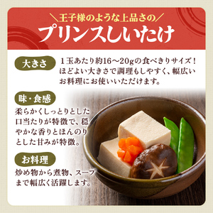 北海道産 厚岸町 上尾幌 菌床栽培 キングしいたけ プリンスしいたけ 各1パック 