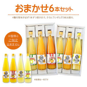 オレンジ園の濃縮ジュース 500ml おまかせ6本入り 6回定期便 希釈用 【J00117】