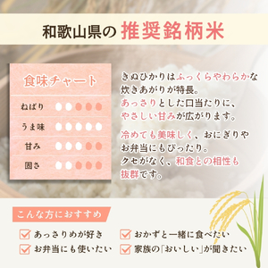 キヌヒカリ 5kg（2025年産）令和7年産 【sml400-kinu-5】