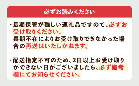 【先行予約】いちご ゆめのか 1kg [JBO138] イチゴ 苺