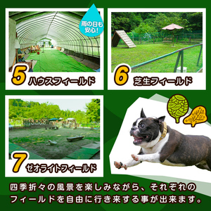 里山ドッグランサム 12ヶ月会員券 フリーパス ドッグラン 7つのフィールド ドッグウォーク ペット 大型犬 中型犬 小型犬 自然 散歩【里山ドッグランサム】ta435