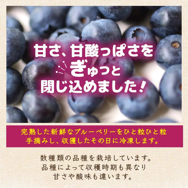 【先行予約】【訳あり】【冷凍】あわらフルーツランドのブルーベリー たっぷり 800g 便利な400g×2袋 【完熟】 / フルーツ 果物 くだもの 冷凍 小分け 完熟 ご当地 国産 おすすめ ※2026年8月上旬より順次発送 [aw091-a002]