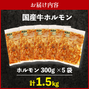 ホルモン 5袋 1.5kg 焼肉 自家タレ 静岡 藤枝 牛ホル