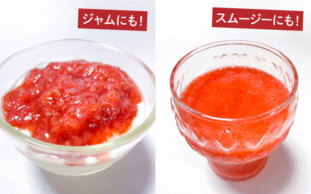 【2026年3月-発送】【訳あり】【数量限定】冷凍 カットいちご「恋みのり」 加工用 約500g×4P / 冷凍 いちご イチゴ 苺 フルーツ 冷凍フルーツ ジャム / 南島原市 / あゆみfarm [SFF005]