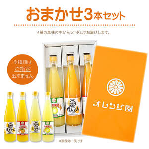 オレンジ園の濃縮ジュース 500ml おまかせ3本入り 12回定期便 希釈用 【J00122】