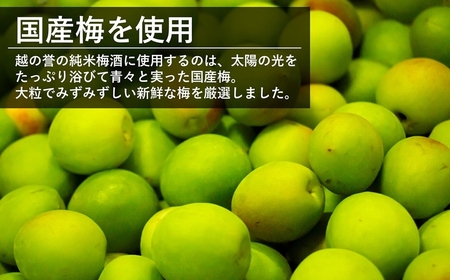本格日本酒仕込み 純米梅酒 500ml×2本 越の誉[Y0022]