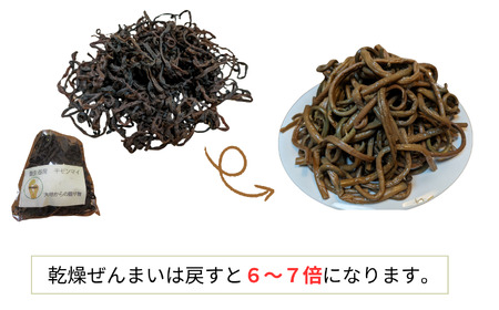 令和8年産 干しぜんまい 乾燥ぜんまい 中500g ぜんまい 山菜の王様「ぜんまい」新潟県 糸魚川市 能生谷産 柔らか美味しい 山菜 凝縮された旨味 おおかやば山菜園 2026年産