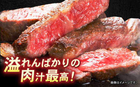 【お中元対応可】長崎和牛 サーロインステーキ 500g(250g×2) / 牛肉 ぎゅうにく 和牛 国産牛 肉 にく ステーキ すてーき サーロイン / 諫早市 / 肉の牛長 諫早店 [AHEM001]