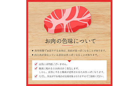 鳥取和牛ヒレステーキ240g_T2600388