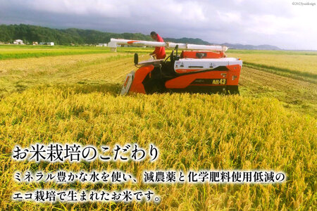 【期間限定発送】 米 令和7年 コシヒカリ 白米 450g(3合) [みどりの波(翠の波) 石川県 宝達志水町 38601230]