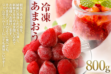 訳あり！辛子明太子 小切500g（100g×5p）&冷凍あまおう800gセット 計1.3kg お取り寄せグルメ お取り寄せ 福岡 お土産 九州 福岡土産 取り寄せ グルメ 福岡県