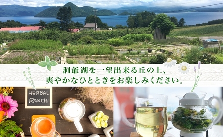 北海道 摘みたて ハーブティー 作り 体験 2枚 ハーブ ティー お茶 紅茶 フレッシュ オリジナル ハーブ畑 天然 リラックス 癒し リラクゼーション ハーバルランチ 送料無料 洞爺湖 