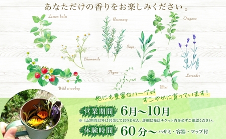 北海道 アロマ ウォーター 蒸留 摘みたて ハーブティー 体験 ハーブ フレッシュ オリジナル ハーブ畑 天然 リラックス 癒し リラクゼーション ハーバルランチ 送料無料 洞爺湖 
