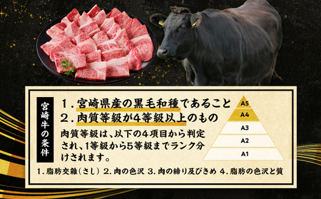 牛肉 焼肉 牛肉[宮崎牛 霜降り 600g]