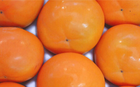 かき酢500ml×1本  BKAD004