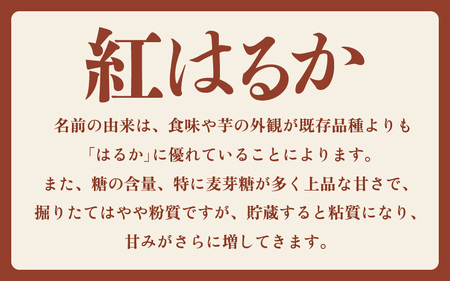 【先行予約】大谷原の熟成さつまいも (5kg 洗い芋) 約25本【入手困難・数量限定】【2026年10月下旬以降順次発送予定】【サツマイモ 芋 紅はるか】 [m23-a005]