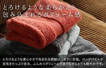 （今治タオルブランド認定品）今治タオル グラン バスタオル２枚セット(テラコッタ)ヒオリエ【I001930BT2OR】