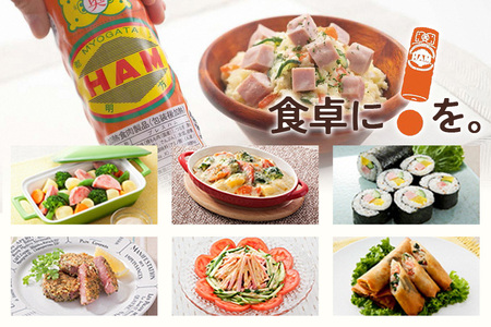 明方ハム 5本セット │ 国産 豚肉 肉 惣菜 おかず 弁当 おつまみ ステーキ A12-005