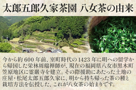 太郎五郎久家茶園 極上煎茶「最高峰」200g 八女 八女茶 煎茶 福岡 お茶