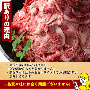 ＜訳あり＞宮崎牛 切り落とし(計1kg・500g×2P) 牛肉 肉 ブランド牛  冷凍 国産 精肉 お取り寄せ 黒毛和牛 宮崎県 【LJ005】【ローカルブランディング株式会社】