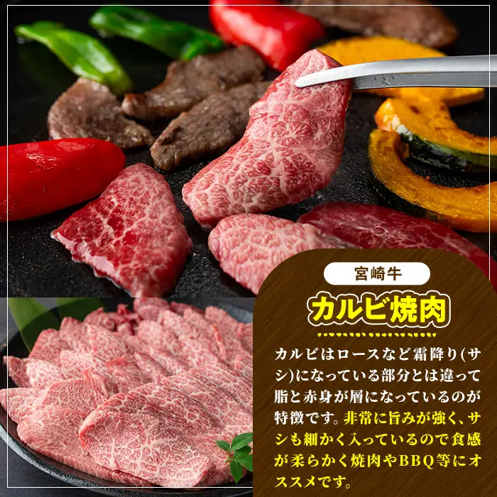 宮崎牛 カルビ焼肉(500g) 牛肉 肉 ブランド牛  冷凍 国産 精肉 お取り寄せ 黒毛和牛 宮崎県 【LJ010】【ローカルブランディング株式会社】