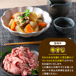 宮崎牛 牛すじ(計2kg・1kg×2P) 希少部位 BBQ 牛肉 肉 ブランド牛  冷凍 国産 精肉 お取り寄せ 黒毛和牛 宮崎県 【LJ017】【ローカルブランディング株式会社】