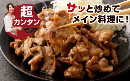 【12ヶ月定期便】 九州産豚 タレ漬け 合計1kg 500g×2袋 ×12回 総計12kg 豚肉 小間切れ コマ切れ 肉 タレ 冷凍 豚 小分け 簡単調理 国産 九州産 定期便 12回 熊本県 水俣市 