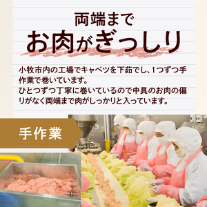 ＜2か月に1回　計6回定期便＞国産キャベツと豚肉のロールキャベツ（6P入り）[022J22-T]
