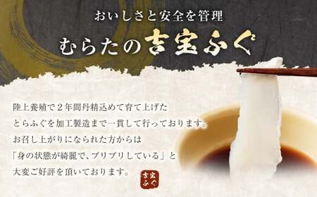 とらふぐ「刺身」セット 吉宝ふぐ『焼きひれ／特製ポン酢／もみじおろし付き』  ふぐ 河豚 フグ とらふぐ トラフグ 刺身 お刺身 ふぐ刺し 皮刺し ひれ酒 熊本県 上天草市