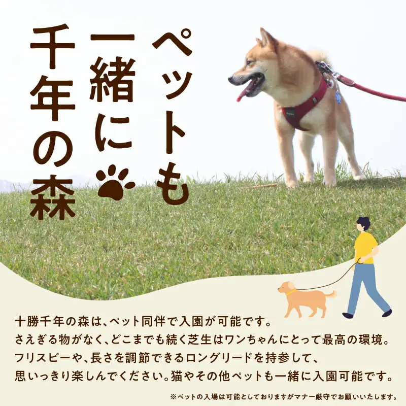 十勝千年の森 年間パス入場券 大人1名分【北海道 清水町 自然 十勝千年の森 十勝毎日新聞社 ガーデン 入場券 年間パス レジャー おでかけ】_S030-0003