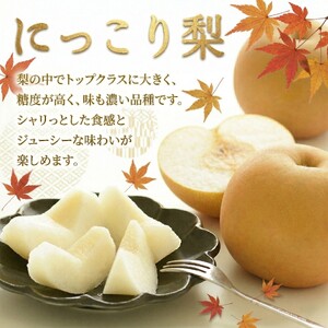 【 JA 北つくば 】 筑西ブランド 認証品 梨 3種 定期便 セット 2026年産 先行予約
