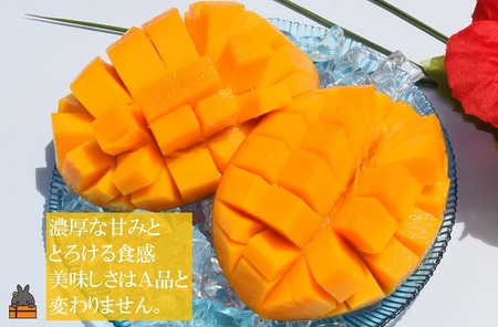 ≪先行予約≫訳あり！【家庭用】徳之島産完熟マンゴー2kg（4～8玉）フルーツ わけあり 訳あり 果物