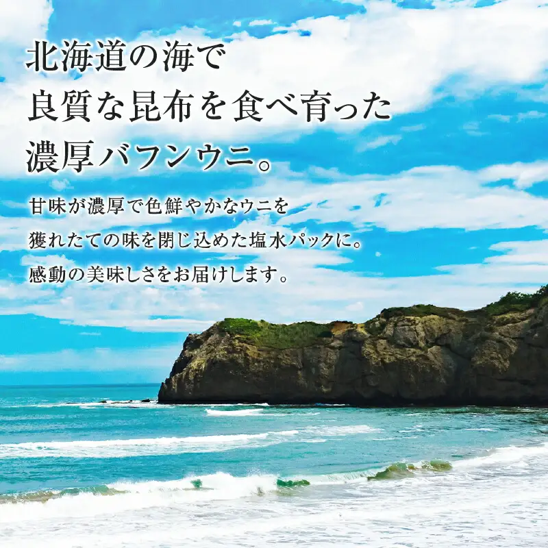 北海道産　世壱屋塩水ウニ（バフンウニ）100g_Y038-0140