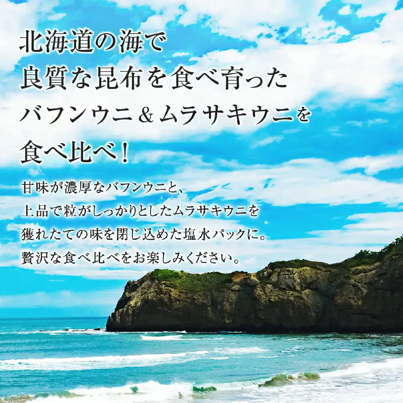 北海道産　世壱屋塩水ウニ（バフンウニ）200g_Y038-0141
