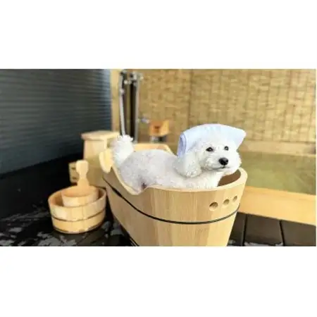 【Solana軽井沢別邸】トレーラーハウスホテル 宿泊券(1泊2日/5名様まで)平日・日曜限定_旅行券・チケット 宿泊券  _【1519127】