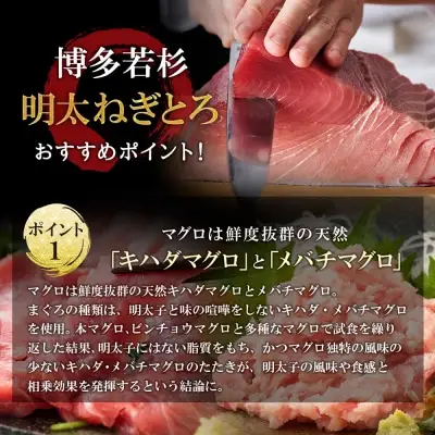 Y61-56 元祖 博多明太ねぎとろ 540g(180g×3) 明太子