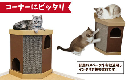 nekoto_コーナースクラッチハウス 